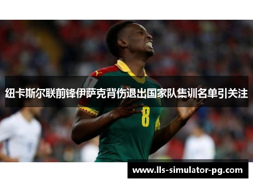纽卡斯尔联前锋伊萨克背伤退出国家队集训名单引关注