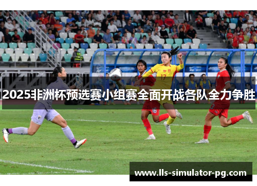 2025非洲杯预选赛小组赛全面开战各队全力争胜